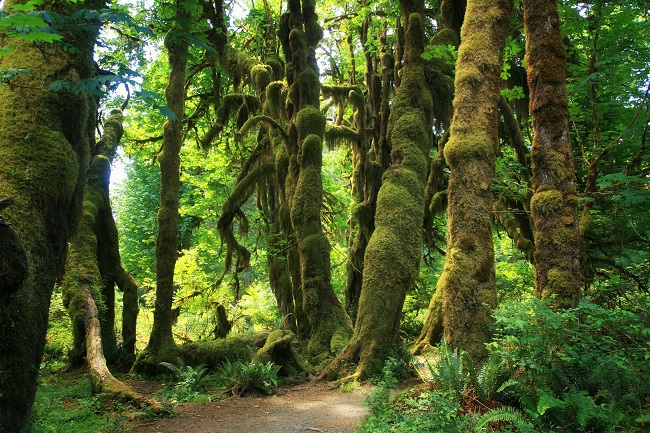 Road Trip Destinations