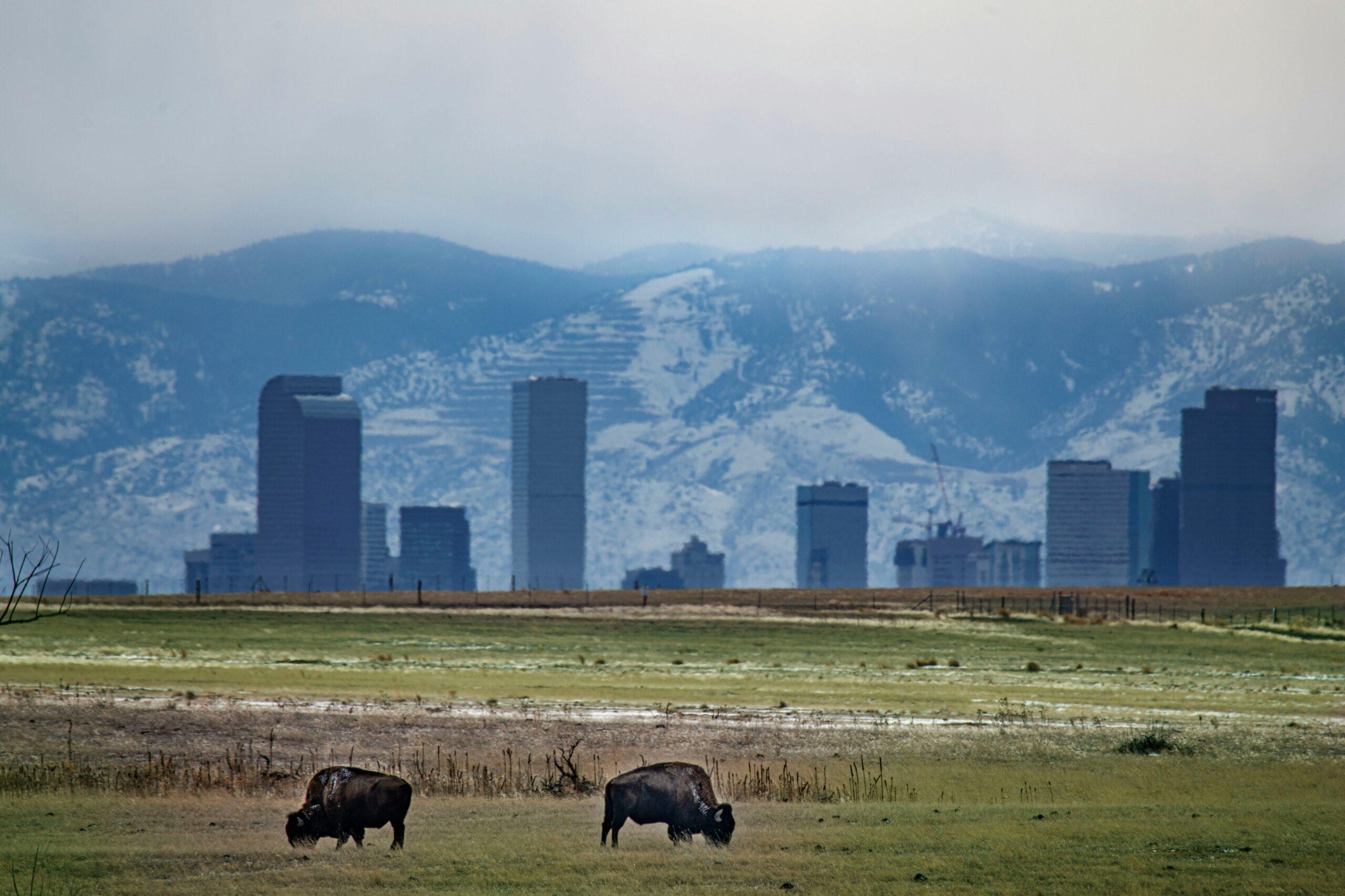 denver - Best U.S. Cities for Remote Workers