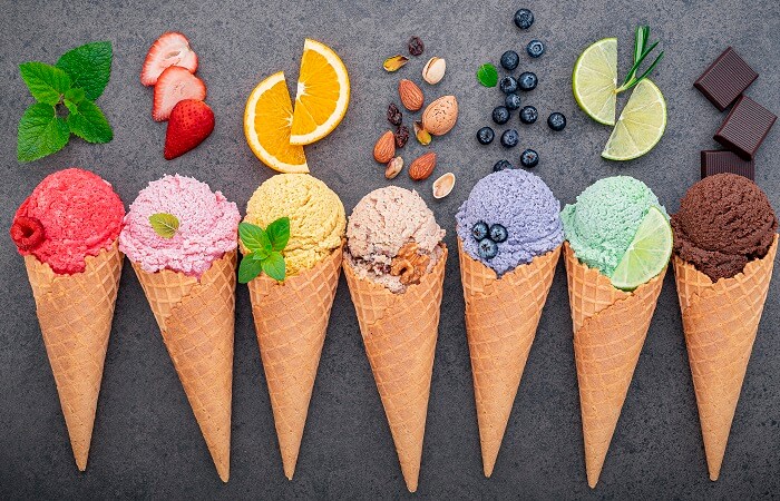 the best ice cream maker