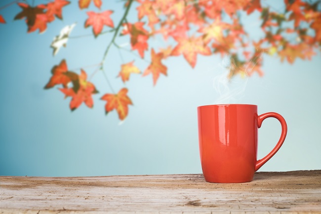5 Amazing Stock Photo Platforms
