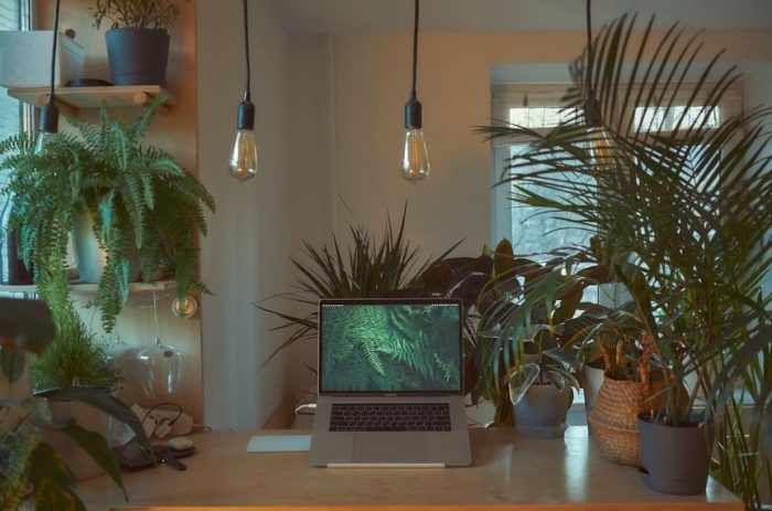 how to create an online store featured image