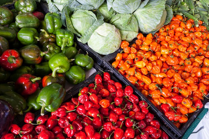 trading agricultural commodities - featured image
