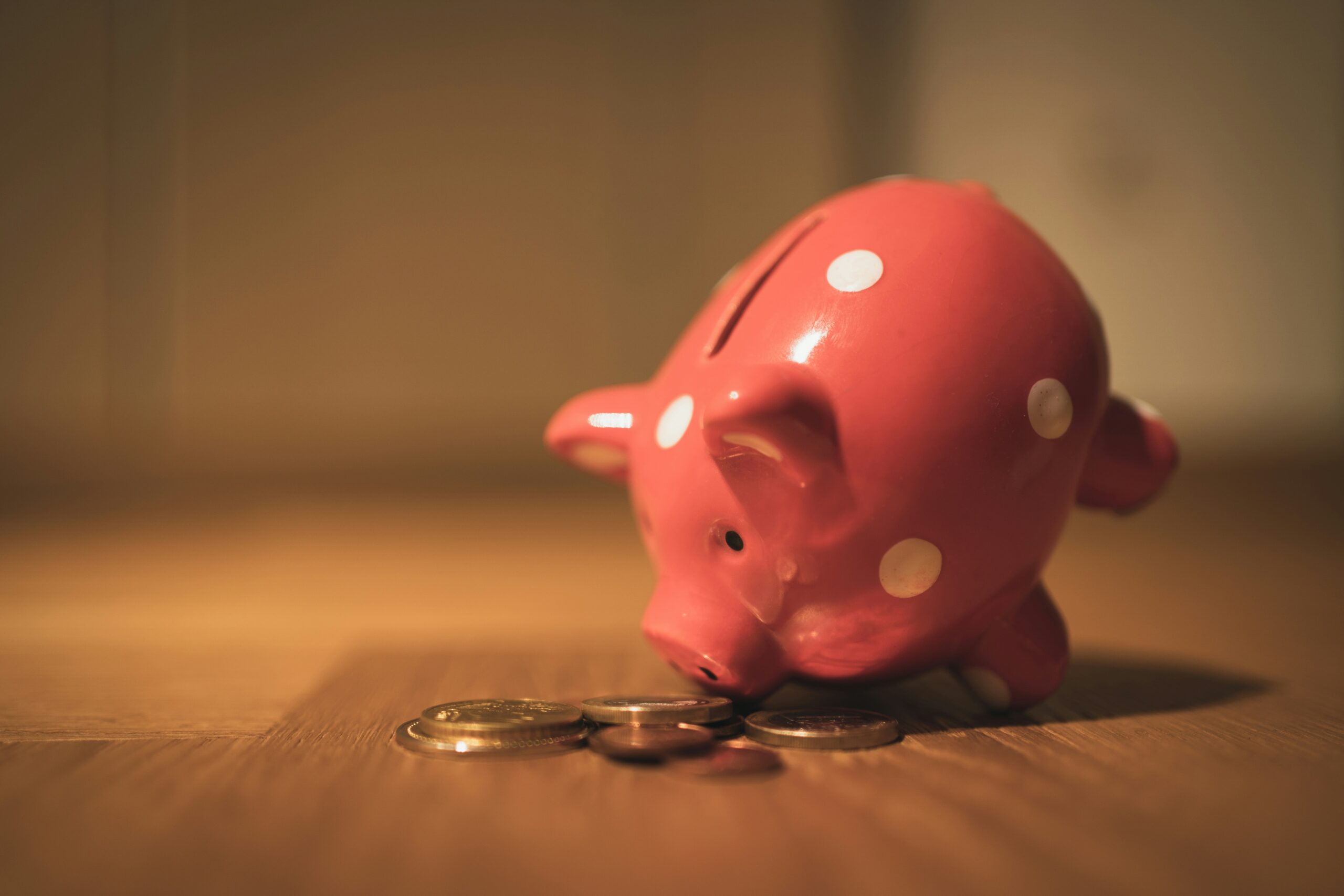 piggy bank - best high yield savings accounts